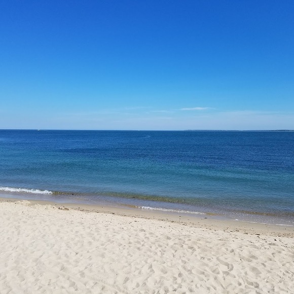 Meet your Posher, Blair - Picture 1 of 1